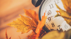 clock in leaves